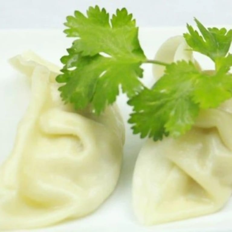 Delicious Gyoza: A Must-Try Appetizer